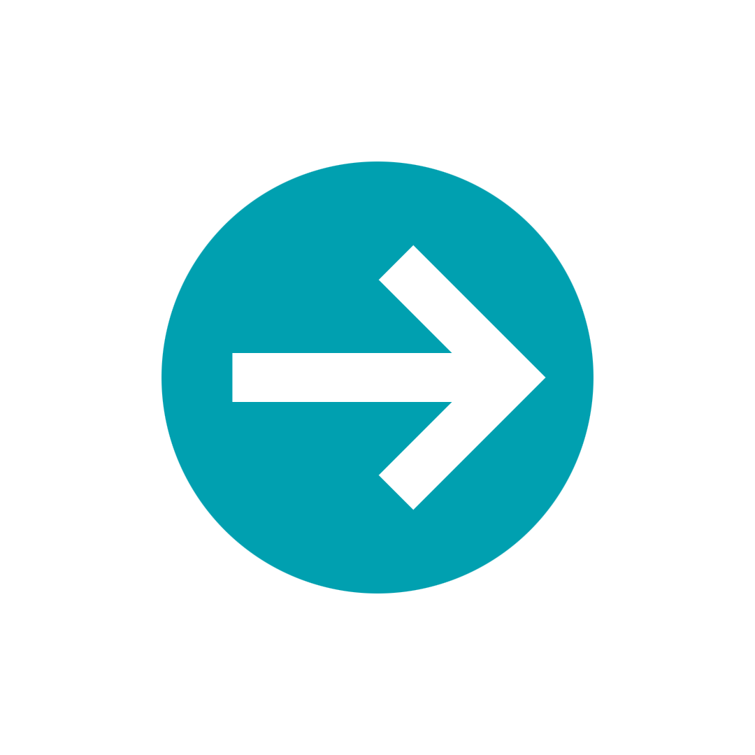 IT Consulting
